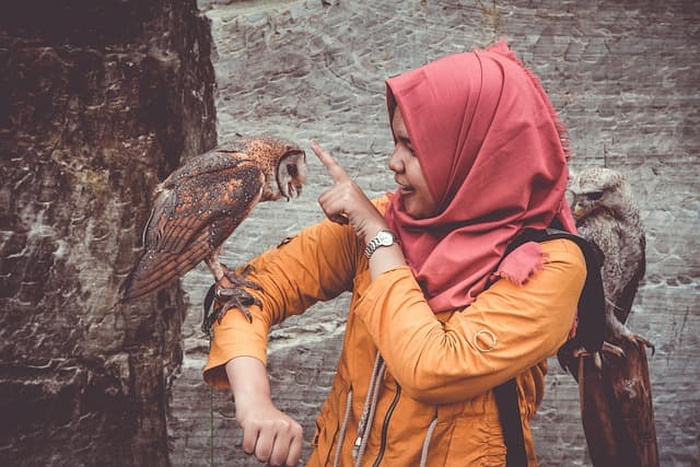 Comment porter le bomber avec style : Guide complet